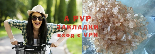 ПСИЛОЦИБИНОВЫЕ ГРИБЫ Верхнеуральск