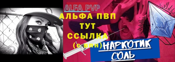 стафф Бородино